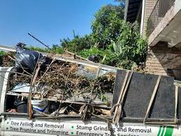 Best Demolition Debris Removal  in Soh Willard, UT